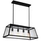 Cwi Lighting Alyson 4 Light Down Chandelier With Black Finish 9601P31-4-101 - alternate 1